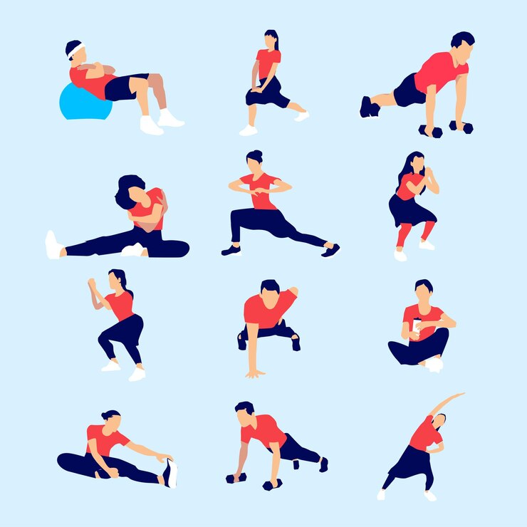 Vettore di illustrazione della collezione di esercizi di ginnastica maschile e femminile
