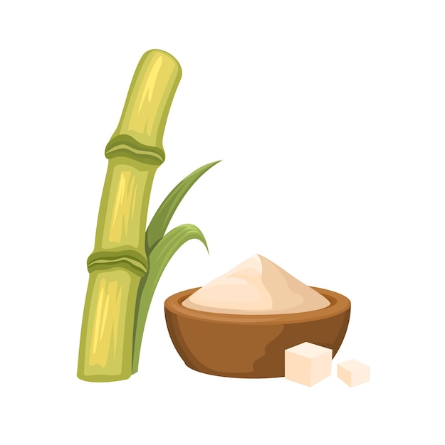 Vettore di illustrazione di cartoni animati organici della canna da zucchero