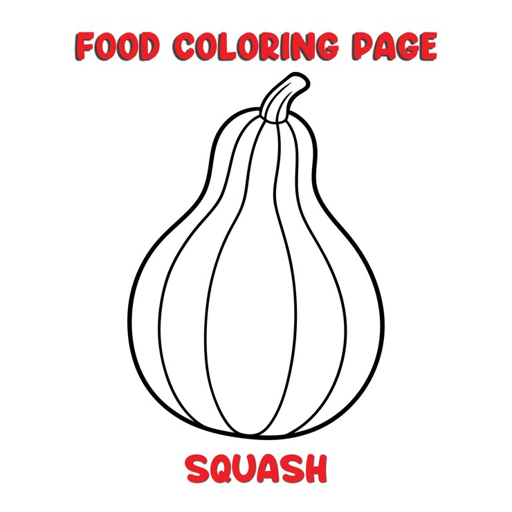 Vettore vettore di illustrazione squash pagina da colorare per bambini