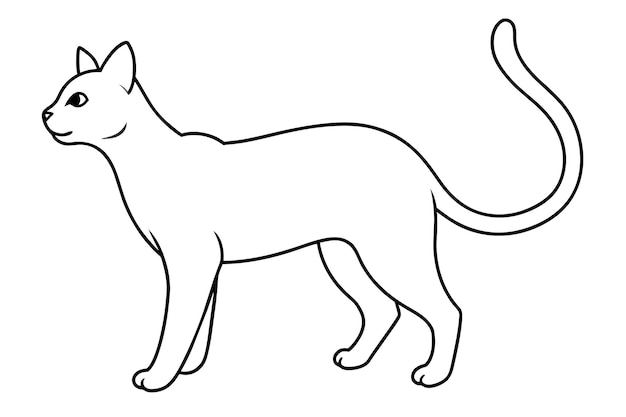 vettore di linea di gatto