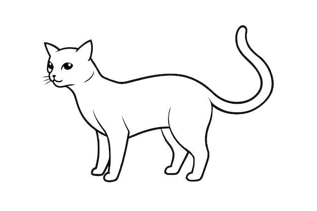 vettore di linea di gatto
