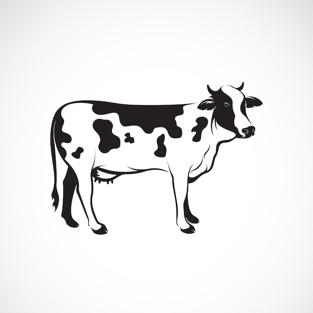 Vettore di mucca su sfondo bianco, animale da fattoria, illustrazione vettoriale. Logo o icona della mucca. Illustrazione vettoriale a strati modificabile facile.