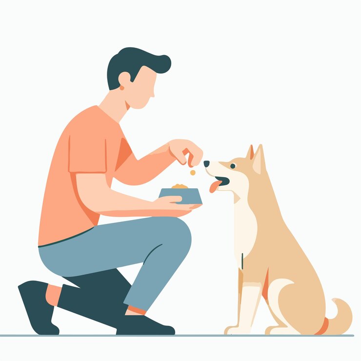 Vettore vettore di persone che nutrono i cani