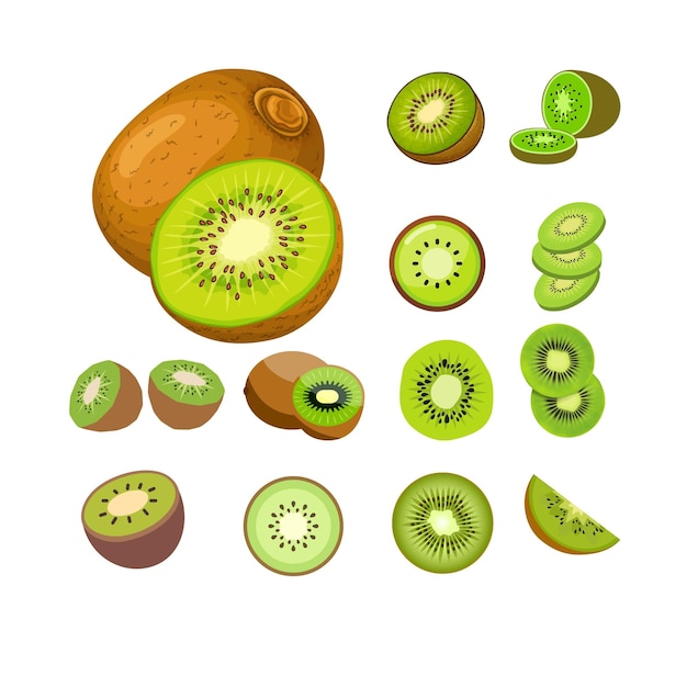vettore di progettazione Kiwi