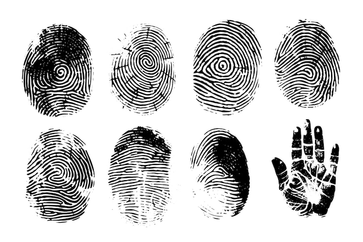 Vettore vettore di raccolta di prove forensi set di impronte digitali impronte del pollice e delle mani
