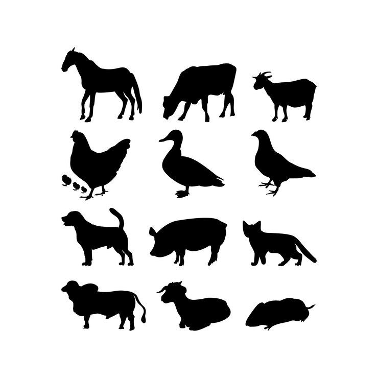 Vettore di raccolta silhouette animali domestici ditta