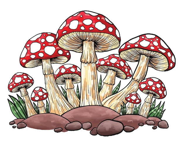 Vettore di schizzo di funghi colorati in stile Doodle