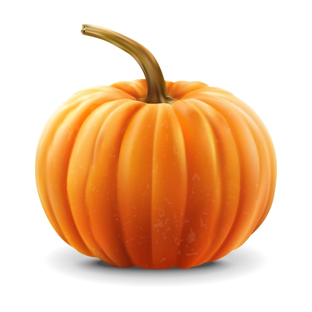 Vettore di sfondo bianco isolato di zucca realistico illustrazione autunnale realistica