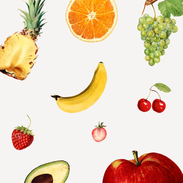 Vettore di sfondo di frutti tropicali misti disegnati a mano