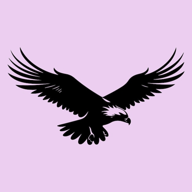 Vettore di silhouette nera dell'uccello falco
