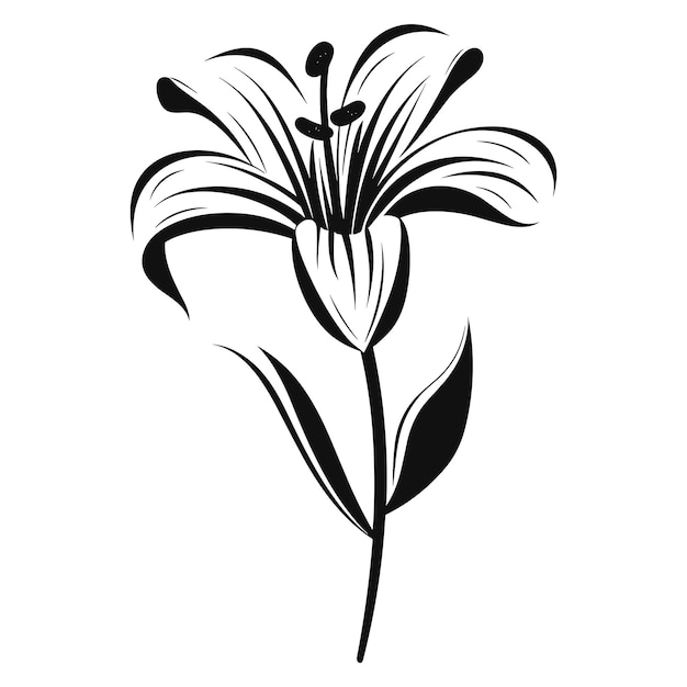 Vettore di silhouette nero del fiore di giglio