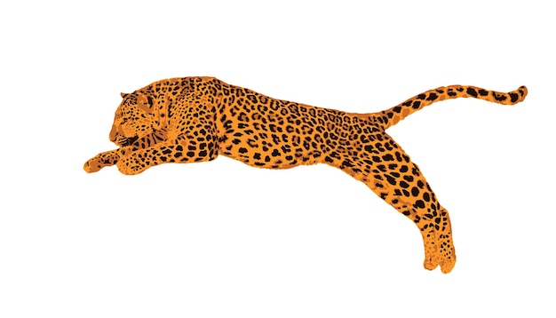 Vettore di un leopardo maculato che salta, colori sopra saturo, panthera pardus,, isolato su bianco