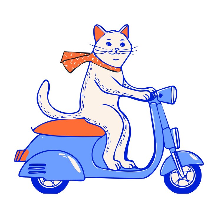 Vettore vettore gatto