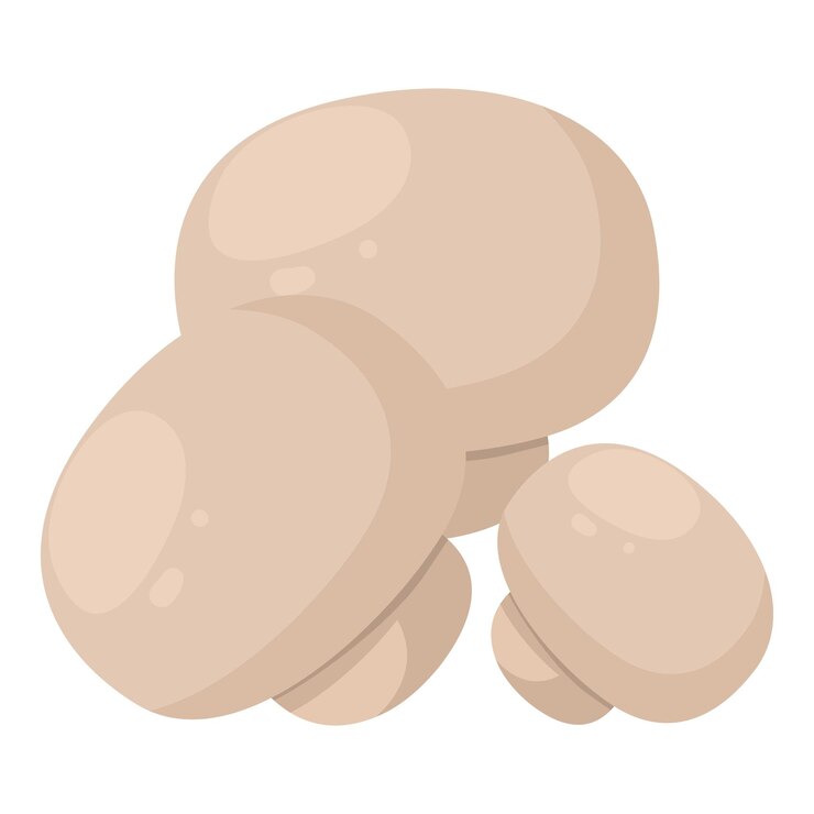 Vettore vettore isometrico icona champignon icona di funghi commestibili bianchi non cotti cibo vegetariano con funghi freschi