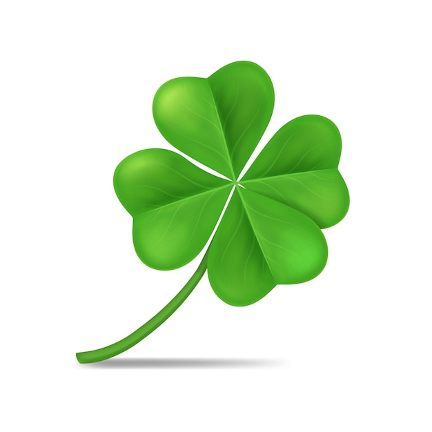 Vettore realistico 3D dettagliato delle foglie di Shamrock verde