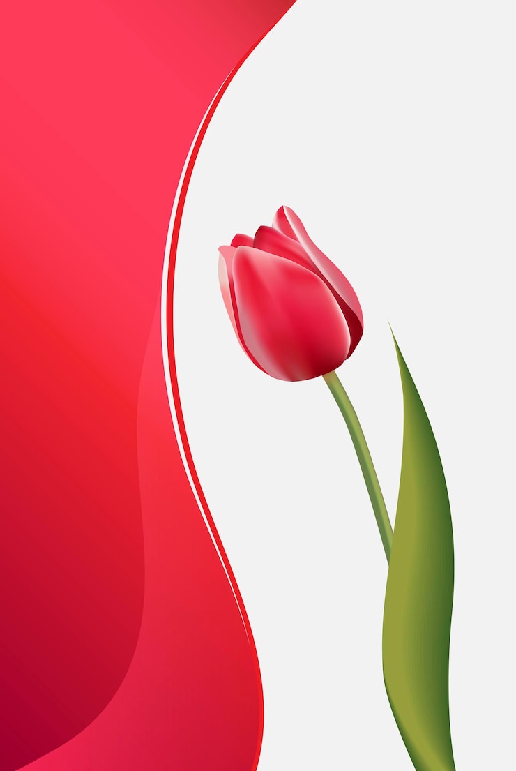 Vettore vettore realistico tulipano rosso