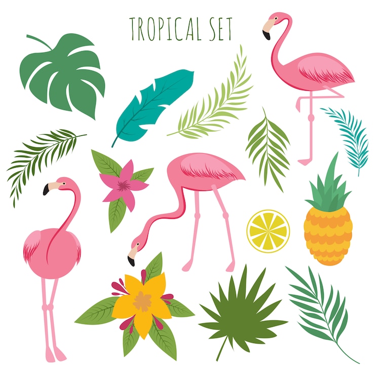 Vettore vettore tropicale con fenicotteri rosa, foglie di palma e fiori
