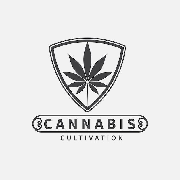 Vintage Cannabis Marijuana Hemp triangolo Stamp Label logo design