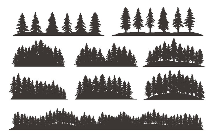 Vettore vintage retrò foresta pino silhouette paesaggio set template vettoriali gratis