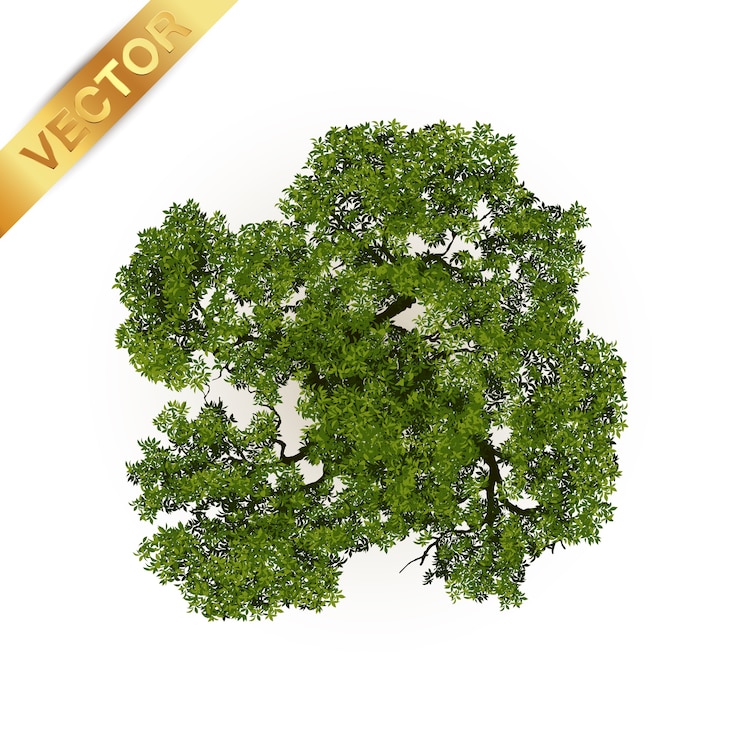 Vettore vista dall&#39;alto di alberi per il paesaggio