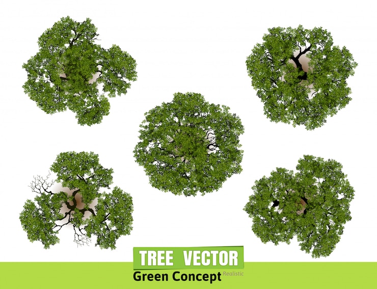 Vista superiore degli alberi per l'illustrazione di vettore del paesaggio.