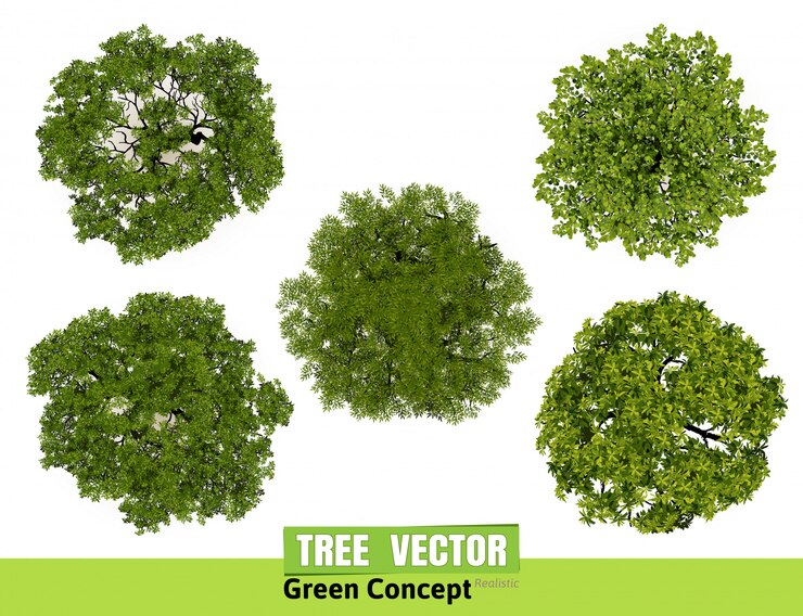 Vista superiore degli alberi per l'illustrazione di vettore del paesaggio.