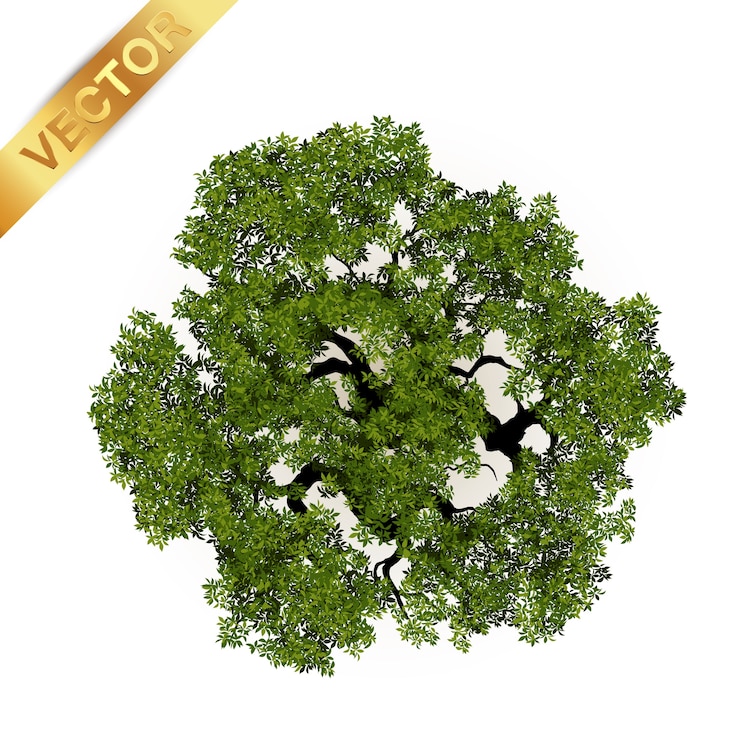 Vista superiore degli alberi per l'illustrazione di vettore del paesaggio.