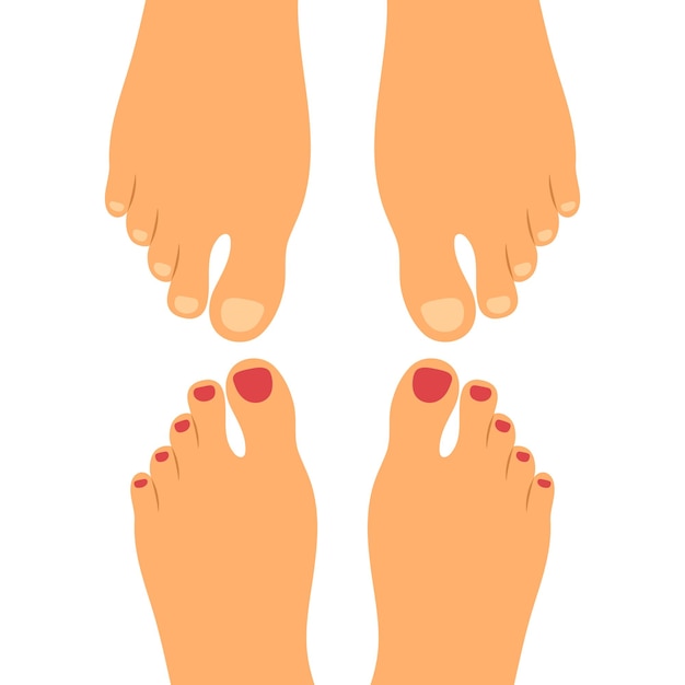 Vista superiore della suola a piedi nudi Piedi maschili opposti ai piedi femminili Illustrazione vettoriale