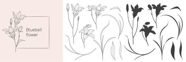 Websketch di elemento floreale a fiore di campana blu per il design in stile lineare