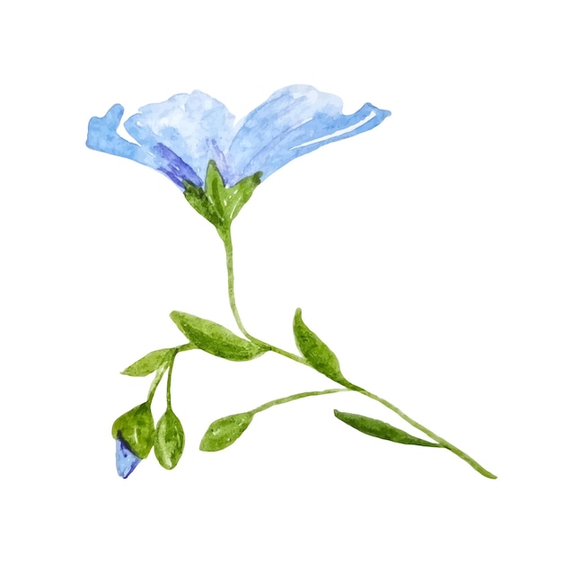 Wildflower lino blu acquerello clipart isolato