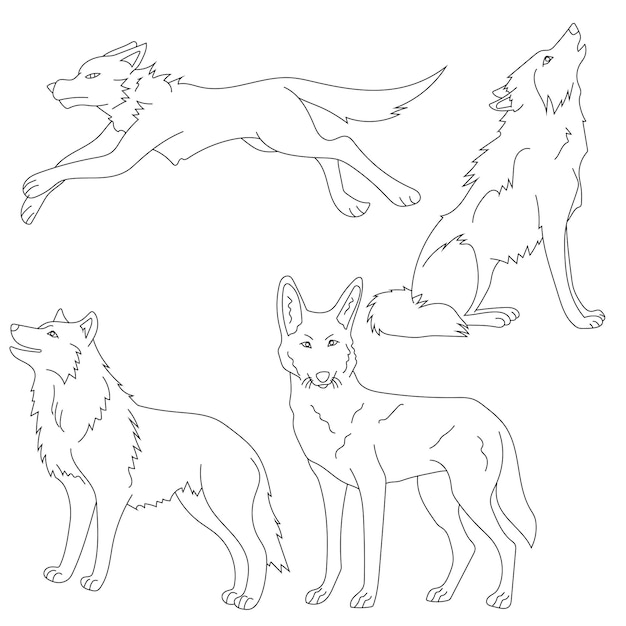 Wolf Clipart Set Cartoon Animali selvatici Clipart Set per gli amanti della fauna selvatica