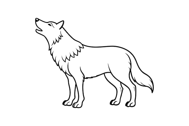 Wolf Line Art Vector Minimalista Nero Amplificatore Bianco Contorno di animali selvatici Disegno maestoso e feroce