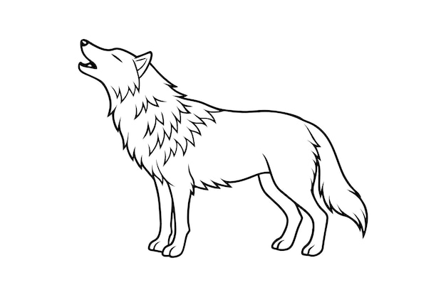 Wolf Line Art Vector Minimalista Nero Amplificatore Bianco Contorno di animali selvatici Disegno maestoso e feroce