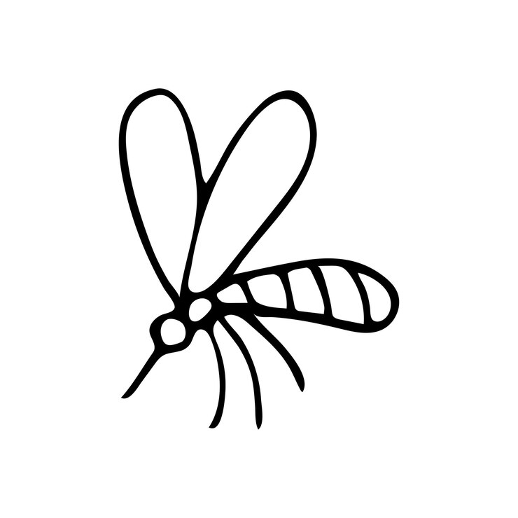 Zanzara doodle disegnato a mano Clipart di insetti vettoriali Contorno