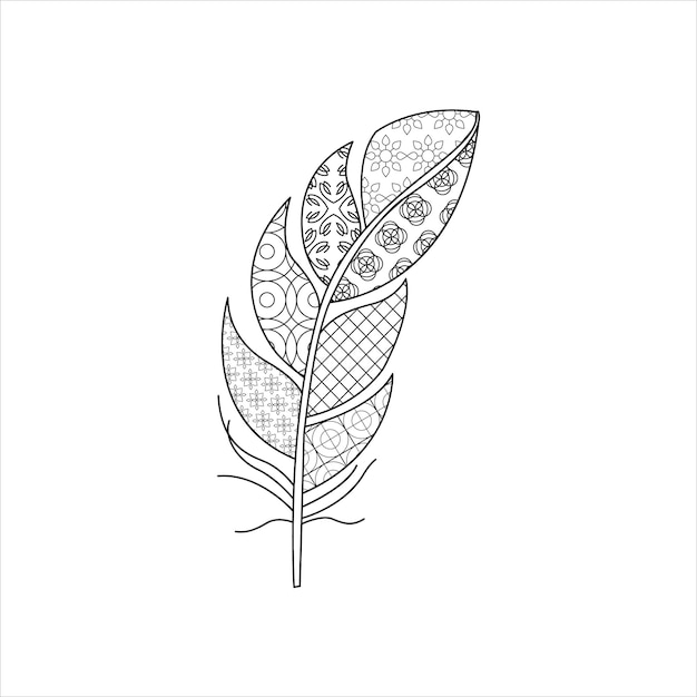 Zentangle di piume a palette da colorare
