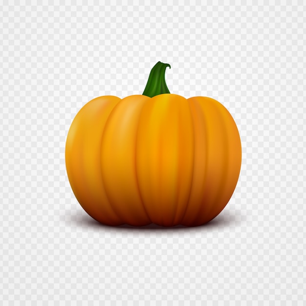 Zucca arancia fresca.