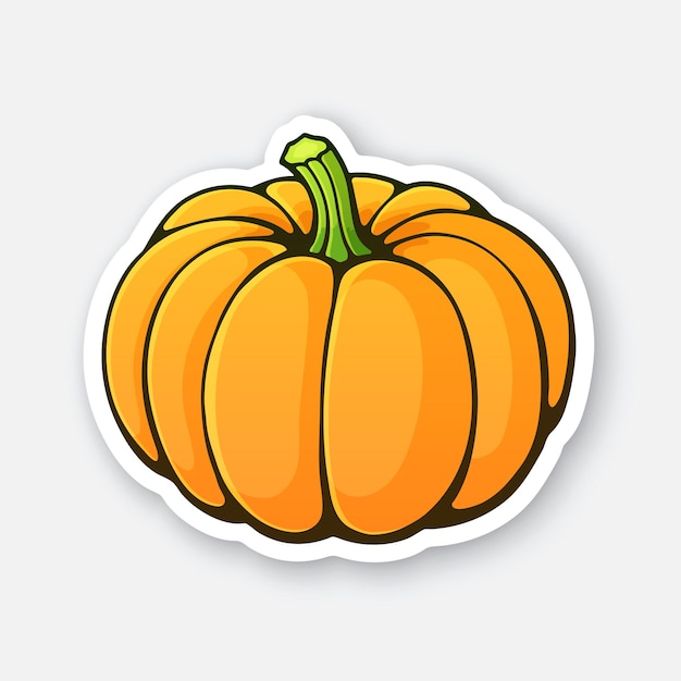 Zucca arancione con gambo verde Zuppa vegetariana sana Ingrediente per insalata Illustrazione vettoriale