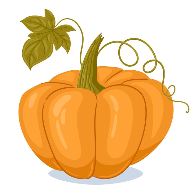 Zucca di zucca Cartone animato arancione zucca autunno raccolta zucca con foglie Ringraziamento autunnale e illustrazione vettoriale piatta della zucca di Halloween