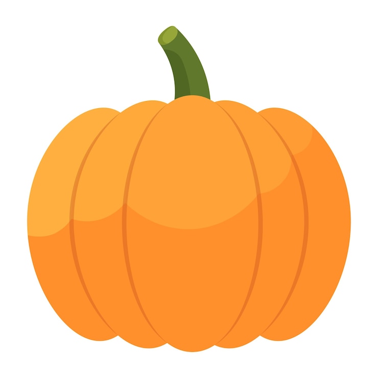 Vettore zucca su sfondo bianco illustrazione vettoriale