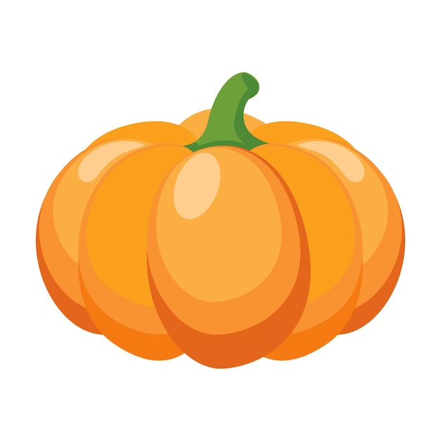 Zucca vegetale alimentare