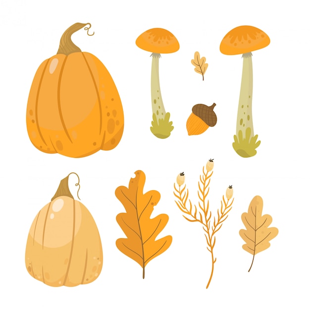 Zucche e foglie dell'illustrazione di autunno.