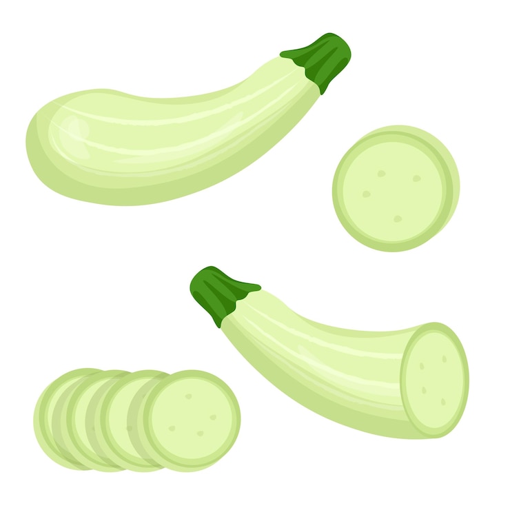 Vettore zucchine intere e tagliate, adagiate