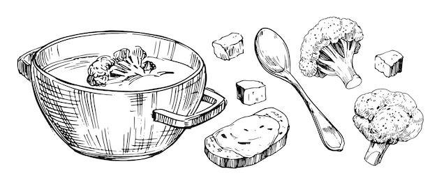 Zuppa di broccoli vegetali. Illustrazione disegnata a mano.