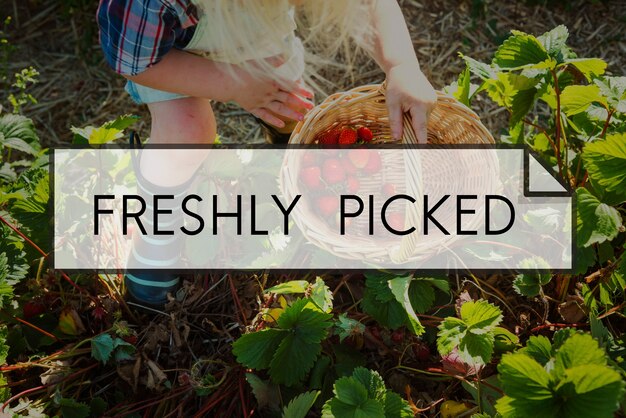 100% Nature Organic Freshly Picked Healthy Eating