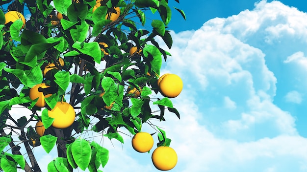 3D fruitboom tegen blauwe hemel