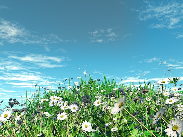 3D geef van madeliefjes in het gras tegen een blauwe hemel