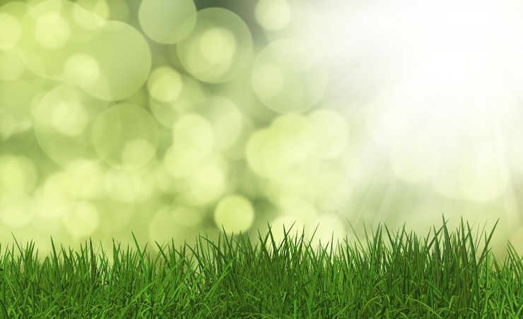 Gratis Foto 3d geef van weelderige groene gras op een defocussed achtergrond