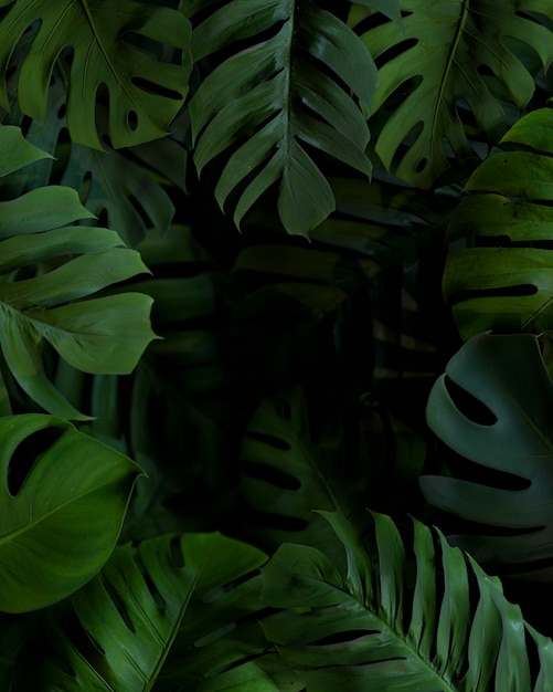 Gratis foto 3d groene palmbladeren arrangement