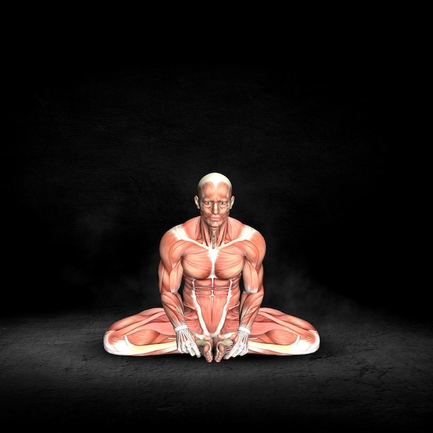 Gratis foto 3d mannelijke medische figuur met spierkaart in zittende abductor stretch pose in grunge interieur