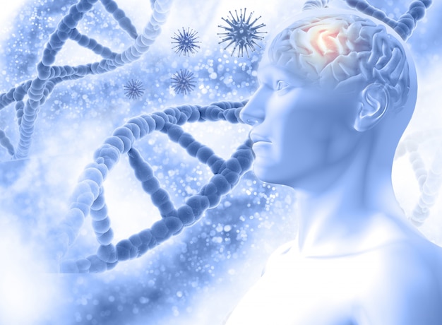 Gratis foto 3d medische achtergrond met een mannelijke figuur met hersen- en viruscellen